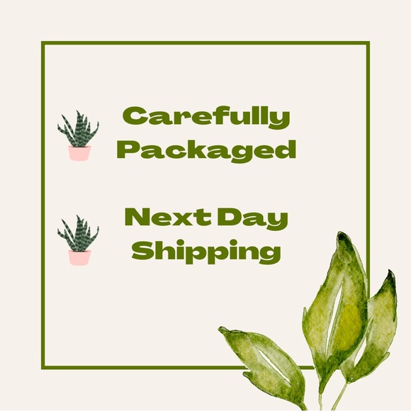 Grove Co Candle SOY Wax Blend Island Orchid New without box 5.5 oz - Picture 14 of 14